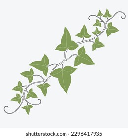 Floral ivy drawing decorative ornament flat design. Vector illustration.