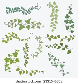 Floral ivy drawing decorative ornament flat design collection. Vector illustration.