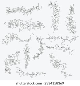 Floral ivy drawing decorative ornament flat design collection. Vector illustration.