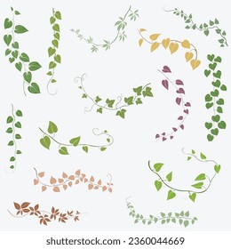 Floral ivy drawing decorative ornament flat design collection. Vector illustration.