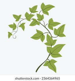 Floral ivy drawing decorative ornament flat design. Vector illustration.