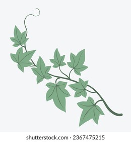 Floral ivy drawing decorative ornament flat design. Vector illustration.