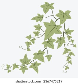 Floral ivy drawing decorative ornament flat design. Vector illustration.