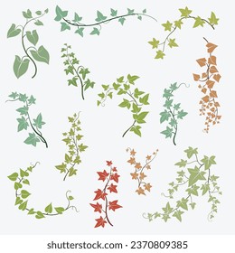 Floral ivy drawing decorative ornament flat design collection. Vector illustration.