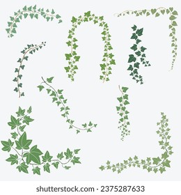Floral ivy drawing decorative ornament flat design collection. Vector illustration.