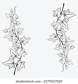 Floral ivy drawing decorative ornament flat design. Vector illustration.