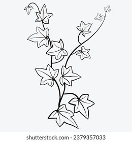 Floral ivy drawing decorative ornament flat design. Vector illustration.