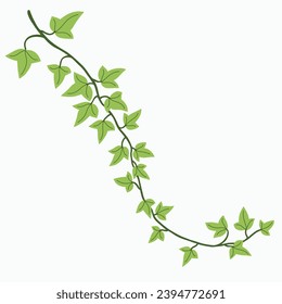 Floral ivy drawing decorative ornament flat design. Vector illustration.