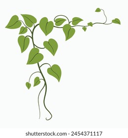 Floral ivy drawing decorative ornament flat design. Vector illustration.