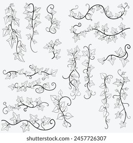 Floral ivy drawing decorative ornament flat design collection. Vector illustration.