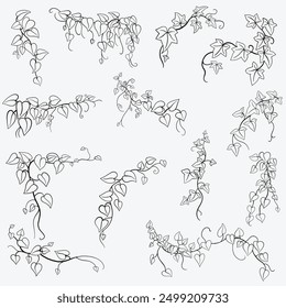 Floral ivy drawing decorative ornament flat design collection. Vector illustration.