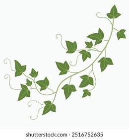 Floral ivy drawing decorative ornament flat design. Vector illustration.