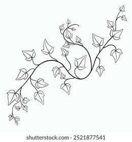 Floral ivy drawing decorative ornament flat design. Vector illustration.