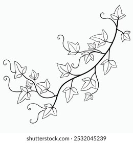 Floral ivy drawing decorative ornament flat design. Vector illustration.