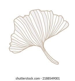 Floral japanes style hand drawn decor, healthy ginkgo biloba goldenleaves