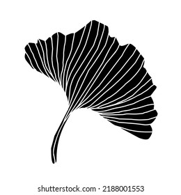 Floral Japanese style hand drawn decor, health ginkgo biloba leaves, isolated silhouette vector element 