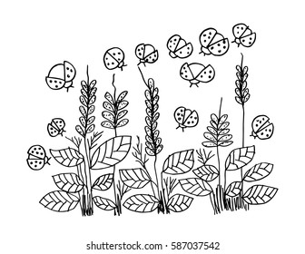 Floral and lady bug. Hand drawing illustration