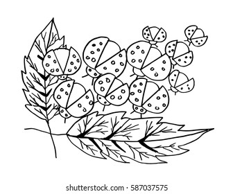 Floral and lady bug. Hand drawing illustration