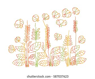 Floral and lady bug. Hand drawing illustration