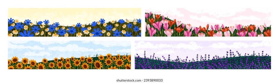 Paisajes florales. Flores primaverales y veraniegas, campos florecientes, panoramas naturales florecientes. Flora con delicadas flores silvestres, lavanda, girasoles. Ilustraciones de vectores planos de color