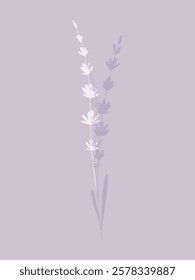 Floral lavender background in pastel lilac shades with a place for text, vector. Beautiful delicate delicate different lavender twigs for labels, decorations, designs, postcards. Hand-drawn line