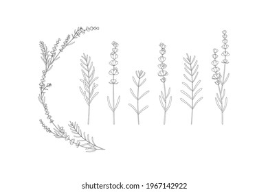 floral lavender black sketch set. small bush of flowers. sign for textile decor, fabric on white background. beautiful fresh floral cut fragrant lavende plant
