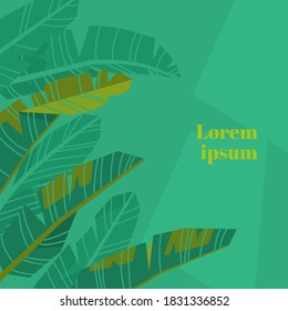 Floral Leaf Design template for your cards invitations, or poster with large palm leaves, green mint color