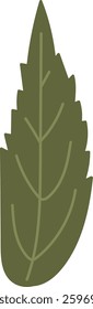 Floral Leaf Hand Drawn Vector Illustration