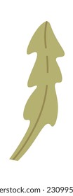 Floral Leaf Icon Vector Illustration
