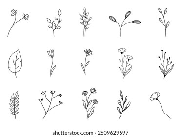 Floral Leaf Line Art Element