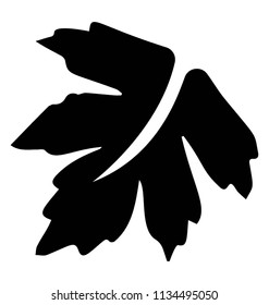 
A floral leaf with margin teeths and veins commemorating grapes leaf
