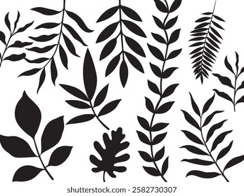 Floral and Leaf Silhouettes Vector Set, Botanical Elements, Nature Illustration, Black Foliage Clipart, Decorative Plant Design