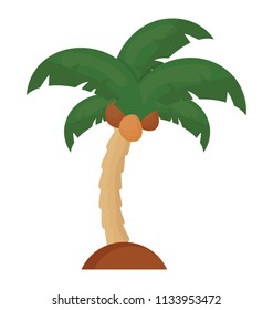 
Floral leaf structured tree belongs to palm family, this is coconut tree  
