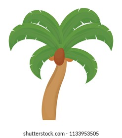
Floral leaf structured tree belongs to palm family, this is coconut tree  
