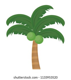 
Floral leaf structured tree belongs to palm family, this is coconut tree  
