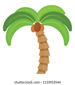 
Floral leaf structured tree belongs to palm family, this is coconut tree  
