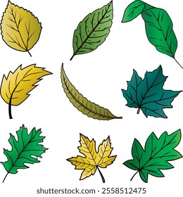 Floral Leaf Themed Elements Vector Set