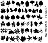 floral and leaf vector