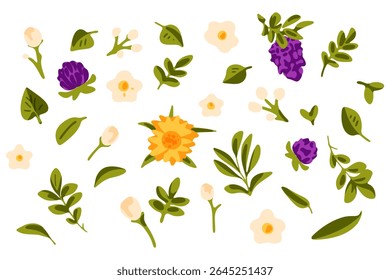 Conjunto de Elementos Vetoriais Florais e Folha. Vetor floral plano de desenhos animados com 40 elementos isolados: flores, botões, ramos e folhas em verde, amarelo, bege e roxo. Estilo plano, fundo branco.