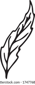 Floral leaf vintage element hand drawn doodle style clip art. Vector illustration isolated on white background. Design for invitations, wedding or greeting cards, decoration, etc.
