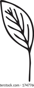 Floral leaf vintage element hand drawn doodle style clip art. Vector illustration isolated on white background. Design for invitations, wedding or greeting cards, decoration, etc.
