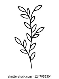 floral leaves foliage on white background