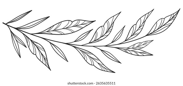floral and leaves line art isolated on white background. Divider doodle leaf and flowers, nature border decorative element vector illustration