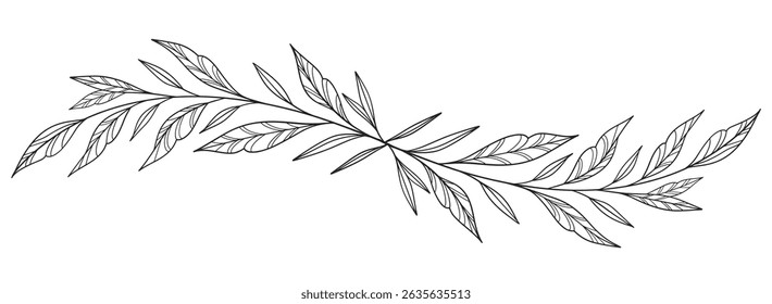 floral and leaves line art isolated on white background. Divider doodle leaf and flowers, nature border decorative element vector illustration