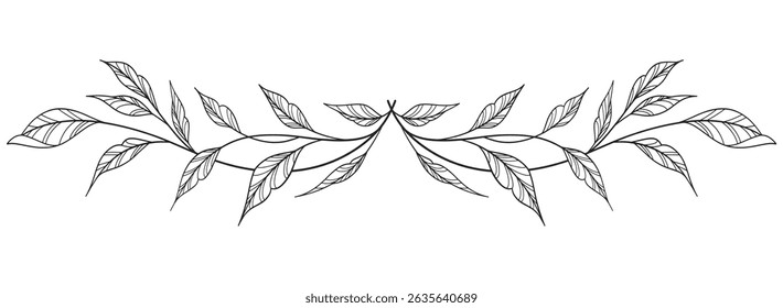 floral and leaves line art isolated on white background. Divider doodle leaf and flowers, nature border decorative element vector illustration