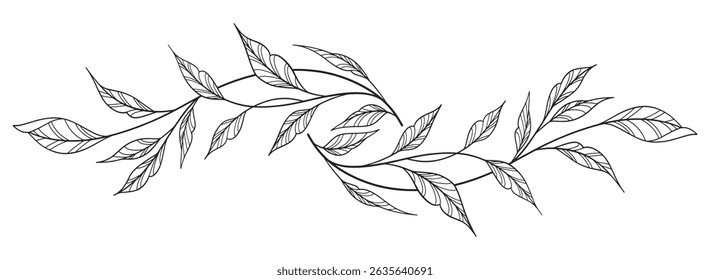 floral and leaves line art isolated on white background. Divider doodle leaf and flowers, nature border decorative element vector illustration
