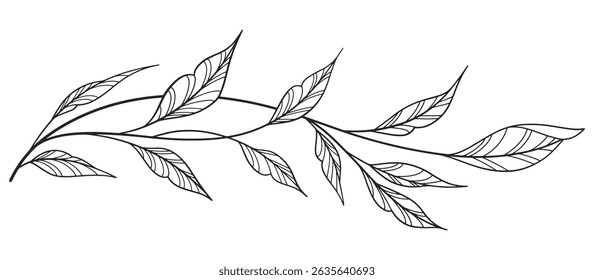floral and leaves line art isolated on white background. Divider doodle leaf and flowers, nature border decorative element vector illustration