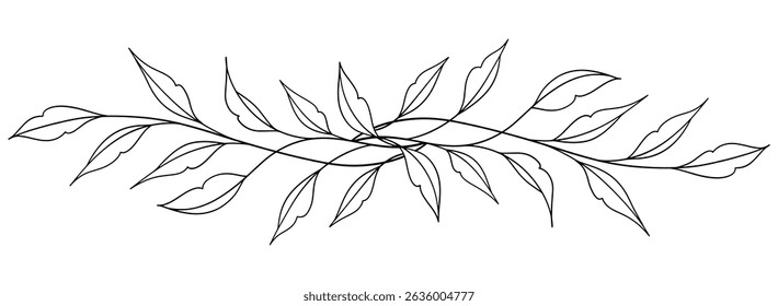 floral leaves line art isolated on white background. Divider doodle leaf and flowers, nature border decorative element vector illustration
