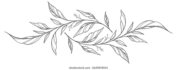 floral leaves line art isolated on white background. Divider doodle leaf and flowers, nature border decorative element vector illustration