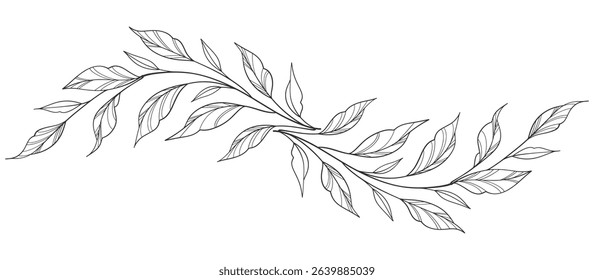 floral leaves line art isolated on white background. Divider doodle leaf and flowers, nature border decorative element vector illustration
